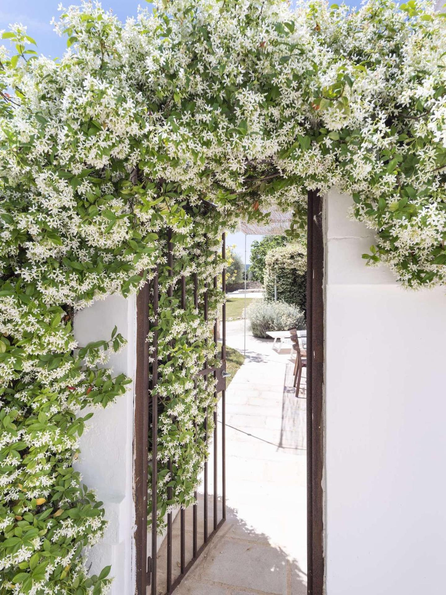 Masseria Alchimia Fasano Exterior foto